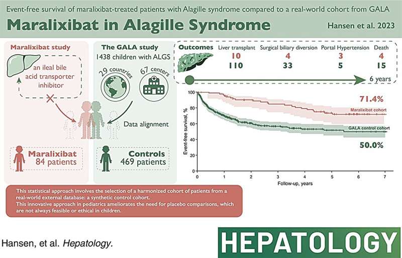 Graphical abstract. Credit: Hepatology (2023). DOI: 10.1097/HEP.0000000000000727