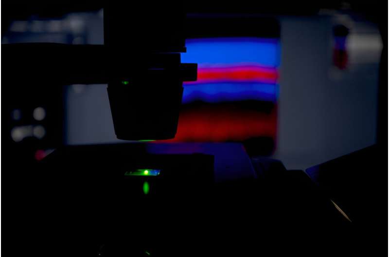 The researchers examine tissue sections of the retina under the microscope. Credit: Ruhr-Universitaet-Bochum, Marquard