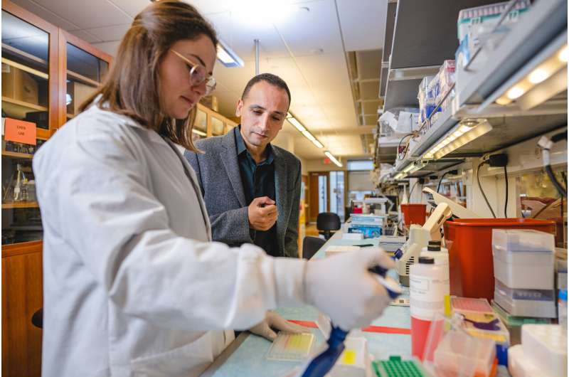 Wistar Institute's Dr. Mohamed Abdel-Mohsen in the lab. Credit: The Wistar Institute