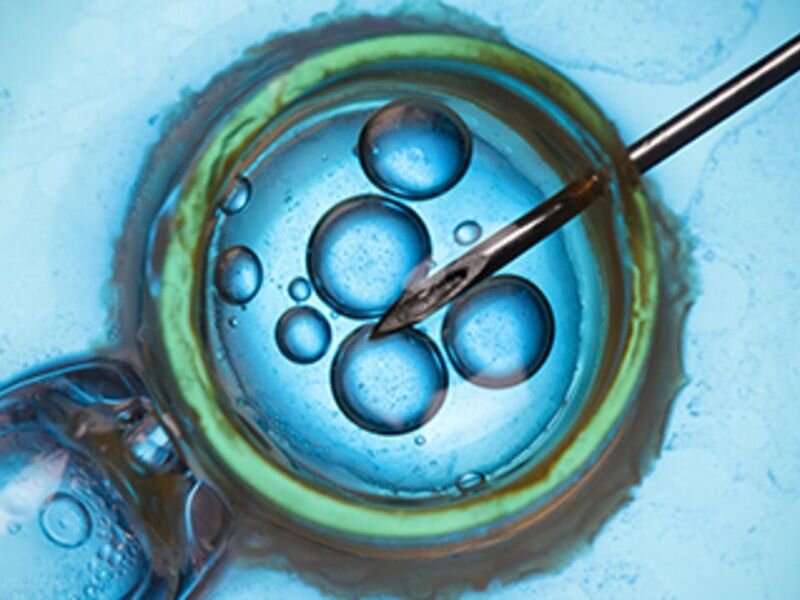 Autologous oocyte thaw yields final live birth rate of 39 percent 