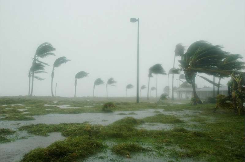 Natural disasters take a toll on unborn babies—we need to support pregnant moms after Cyclone Gabrielle, says researcher 