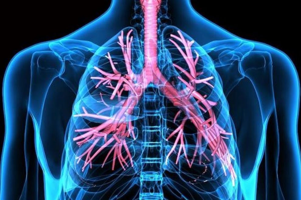 Las 11 enfermedades respiratorias más comunes (causas, síntomas y tratamiento)