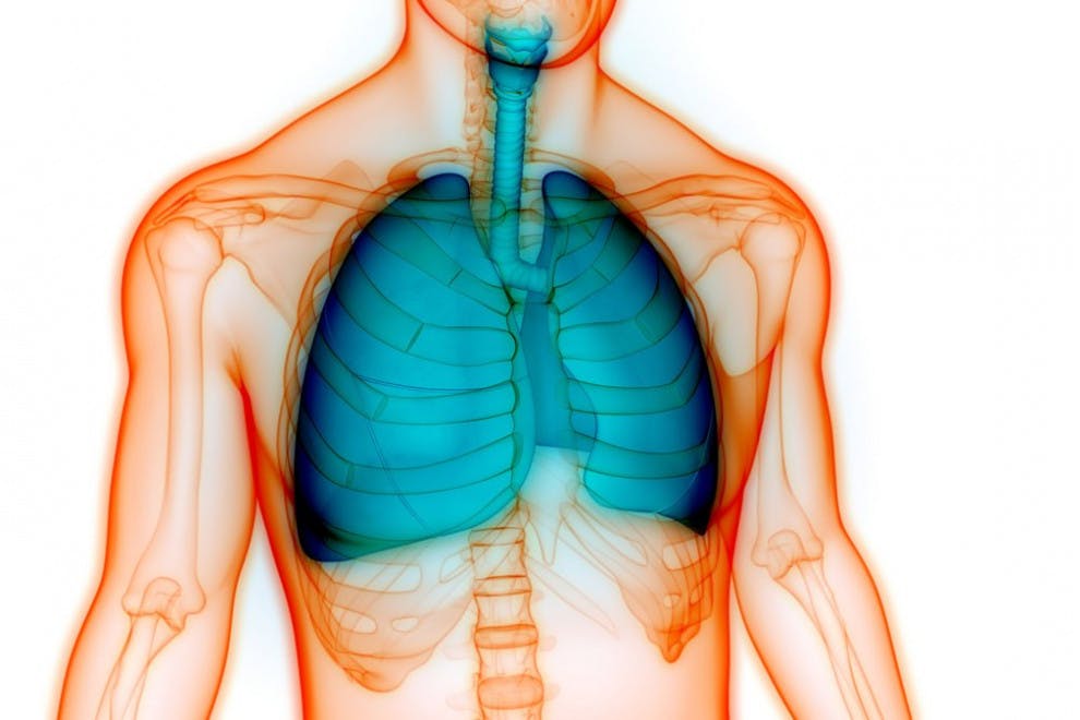 Los 4 tipos de enfisemas (causas, síntomas y tratamiento)