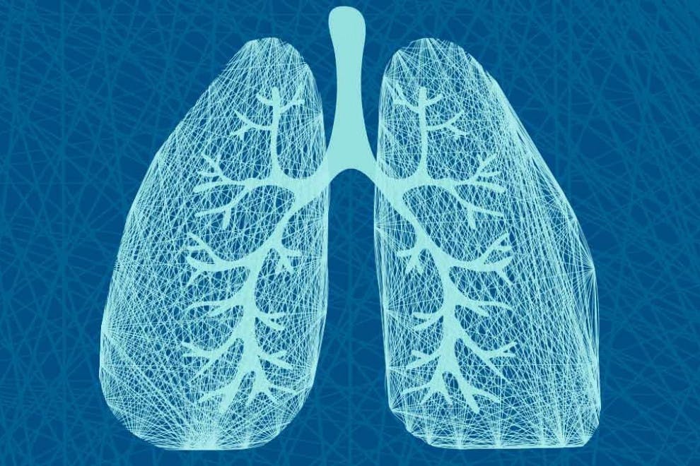 Las 7 partes de los pulmones (y sus funciones)