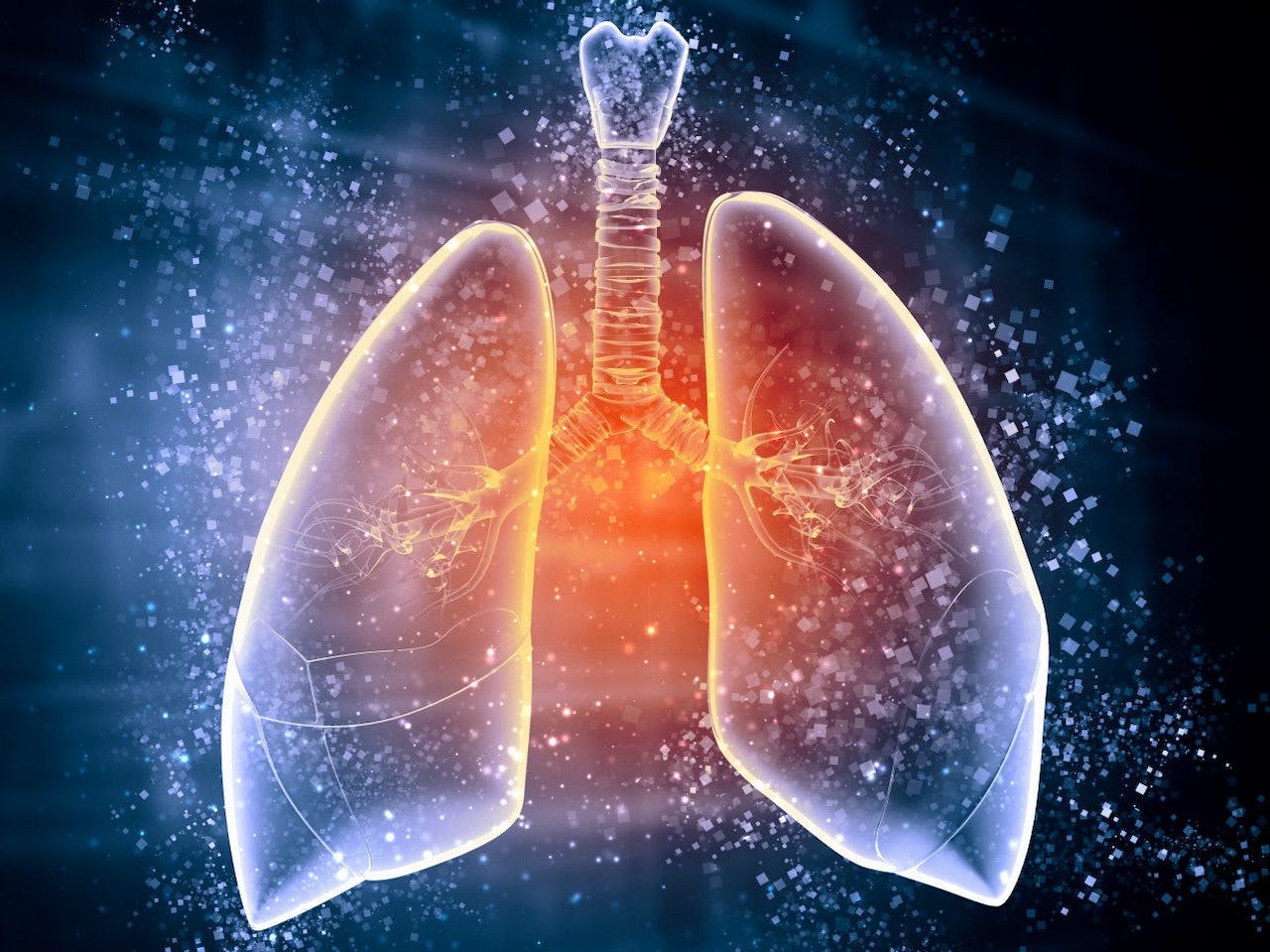 Fibrosis quística: causas, síntomas y tratamiento