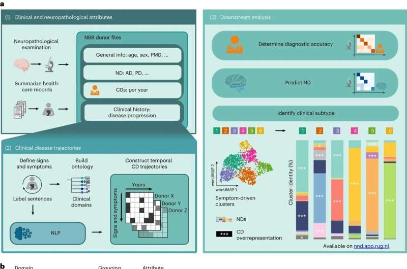 AI language model provides new insights into the development of brain diseases