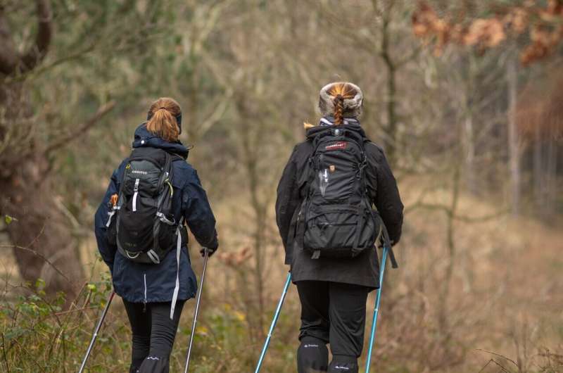 hiking canes