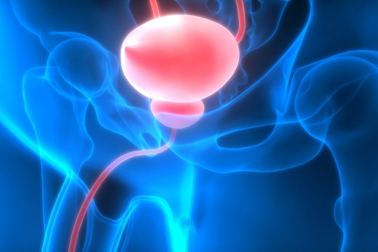 Regeneration of fully functional urinary bladder tissue 