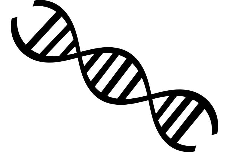 DNA