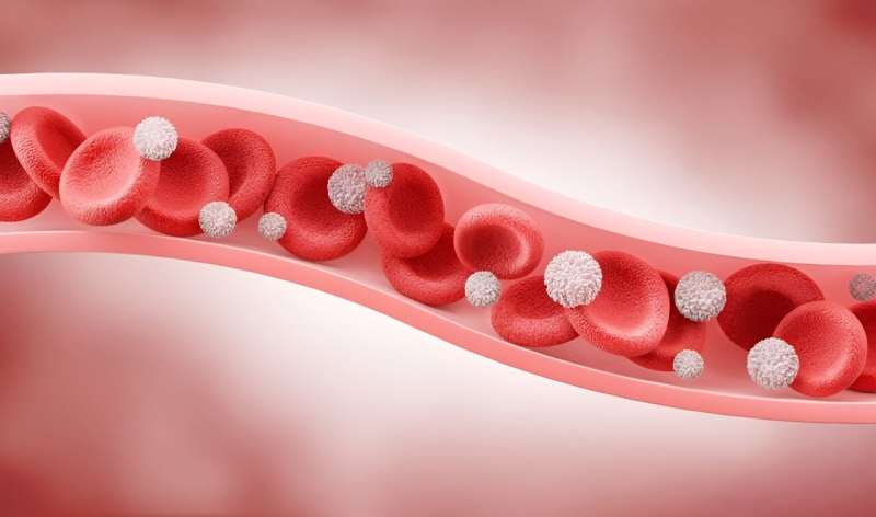 Vascular changes persist after multisystem inflammatory syndrome in children, research finds 