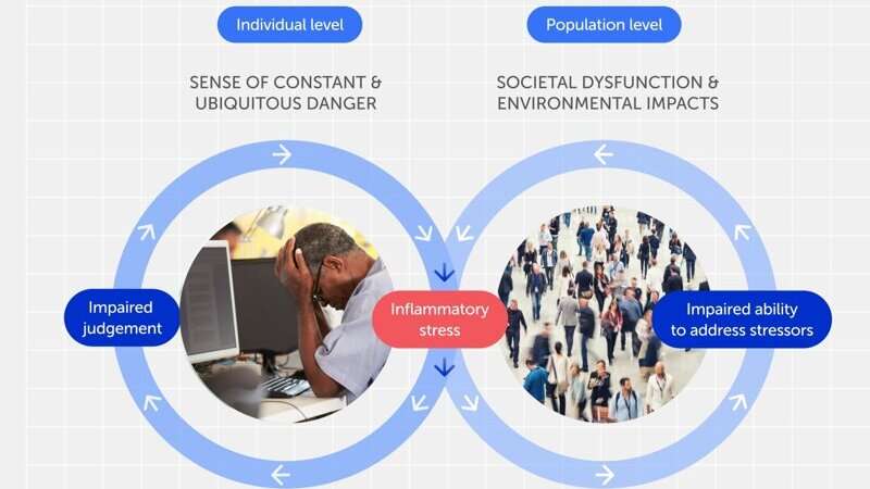 Chronic stress and inflammation linked to societal and environmental impacts in new study 