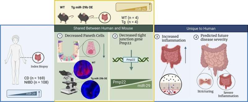 microRNA predicts severe Crohn's disease in children