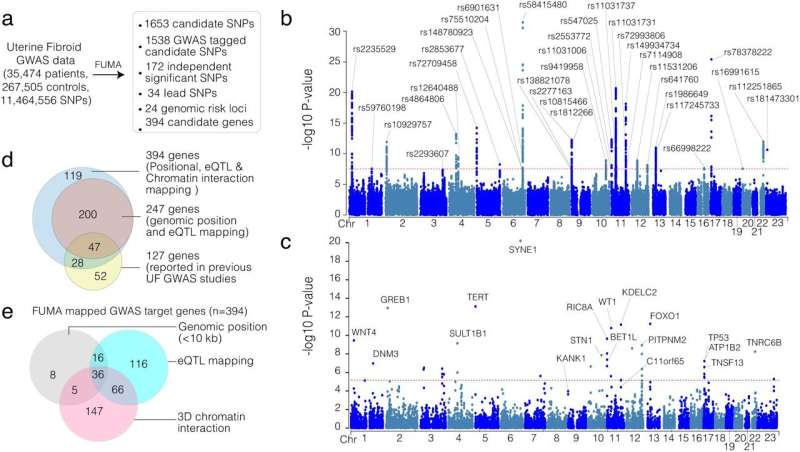 New genes implicated in uterine fibroid development