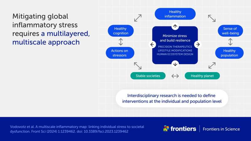 Chronic stress and inflammation linked to societal and environmental impacts in new study