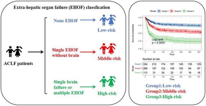 Impact of onset time, number, type, and sequence of extrahepatic organ failure on prognosis of liver failure 