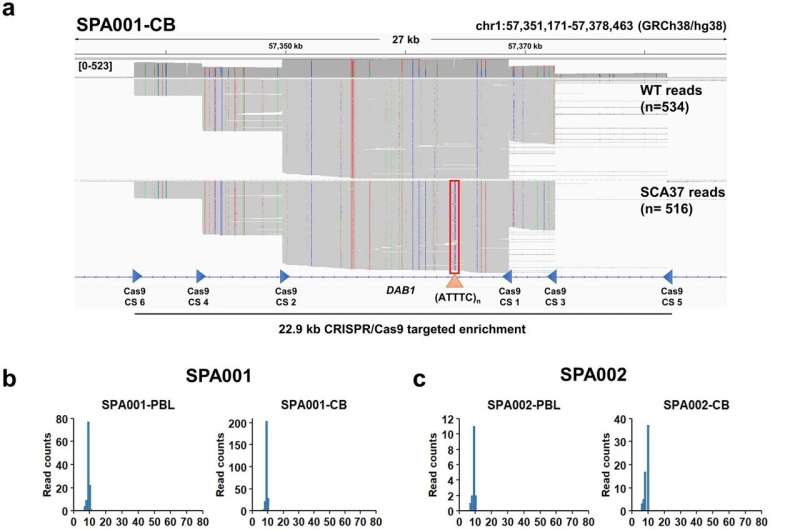 Scientists use an innovative approach to provide relevant insights into a rare neurologic disorder