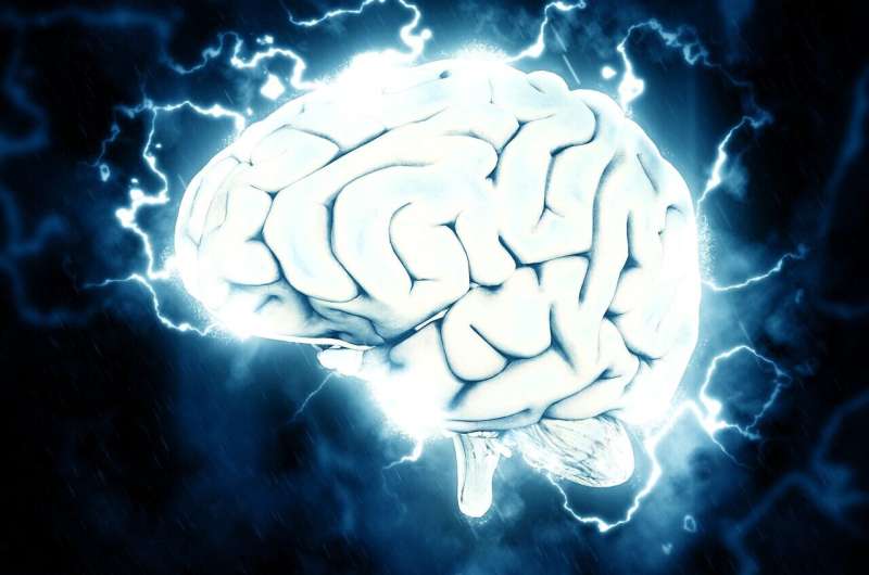 High blood pressure's impact on white matter could be key to dementia prevention 