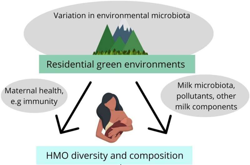 Green environments in residential areas may impact the composition of sugar molecules in breastmilk 