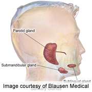 Salivary gland ultrasonography improves Sjogren's diagnosis  