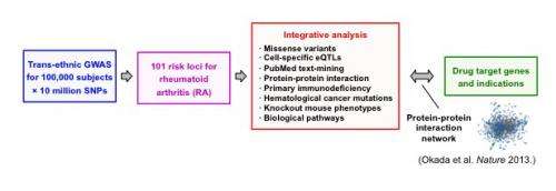 Rheumatoid arthritis research shows the potential of large-scale genetic studies for drug discovery