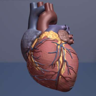 New model could improve treatment of rheumatoid arthritis patients with cardiac disease 