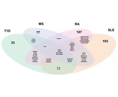 A new approach to study autoimmune diseases 