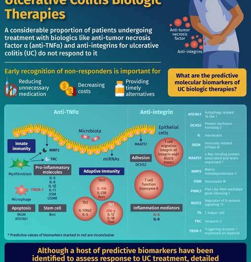 Flagging molecular biomarkers that predict biologic therapy responses in bowel disease