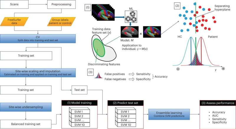 International study: AI recognizes clinically anxious youth based on their brain structure