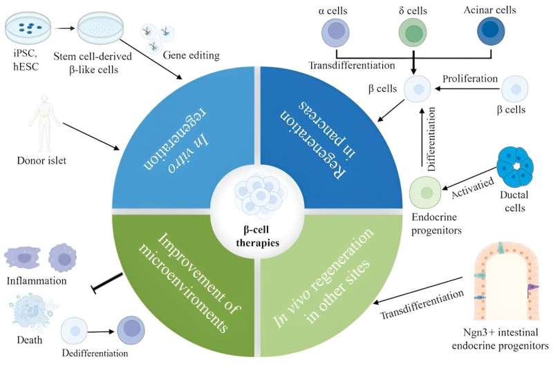 Review summarizes the latest knowledge on type 2 diabetes