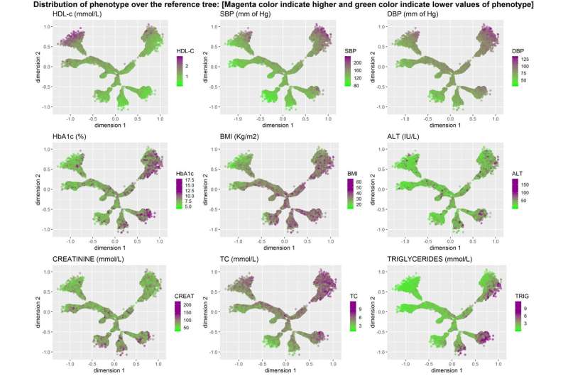 Researchers use algorithm to provide innovative insights into the heterogeneity of type 2 diabetes