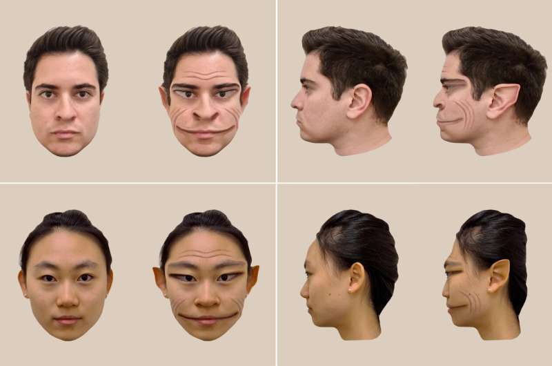 Research visualizes 'demonic' face distortions in a case of prosopometamorphopsia