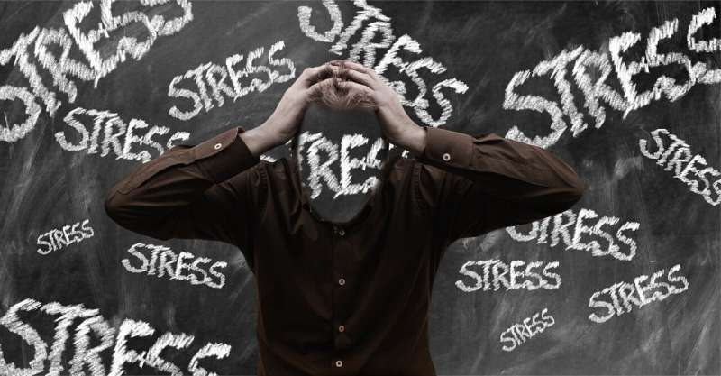 The science of stress transmission