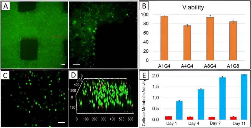 A 3-D bioprinted tumor-on-a-chip model