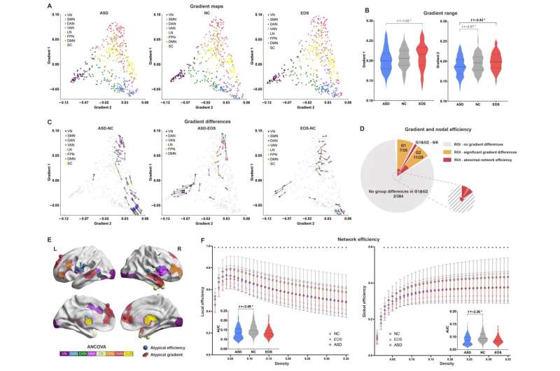 Same same but different: Neuroanatomic and connectomic profiles of early-onset schizophrenia and autism spectrum disorder