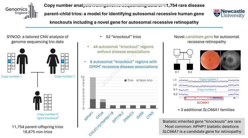 New genomic method offers diagnosis for patients with unexplained kidney failure