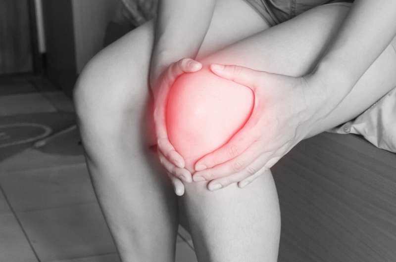 Discovery may explain why more females than males get knee osteoarthritis 