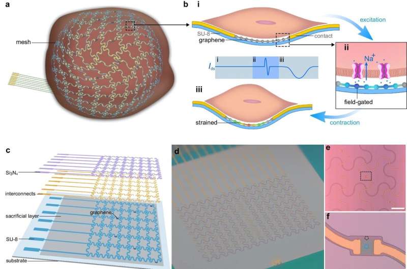 A bioelectronic mesh capable of growing with cardiac tissues for comprehensive heart monitoring