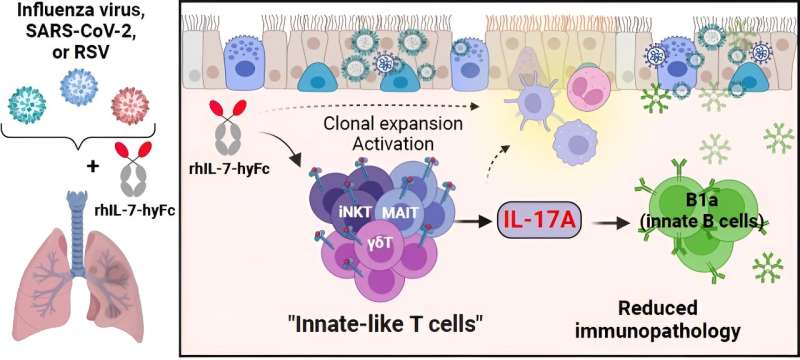 Addressing both flu and COVID-19 through a single, multitasking injection