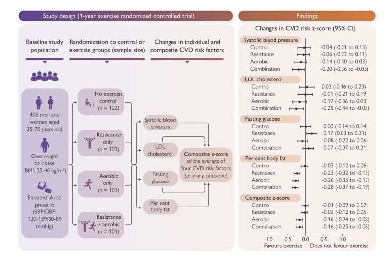 Structured Graphical Abstract Effects of 1-year resistance, aerobic, or combined exercise training on cardiovascular disease (CVD) risk profile: the CardioRACE trial. Aerobic exercise alone or combined aerobic plus resistance exercise, but not resistance exercise alone, improved CVD risk profile (composite Z-score) compared with no-exercise control (Z-score values below 0 indicate favorable changes in CVD risk factors). BMI, body mass index; CI, confidence interval; CVD, cardiovascular disease; DBP, diastolic blood pressure; SBP, systolic blood pressure. Credit: European Heart Journal (2023). DOI: 10.1093/eurheartj/ehad827