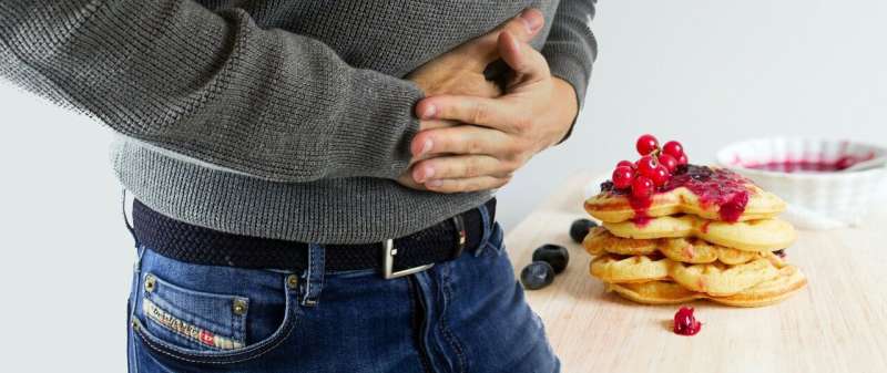 Diet type can increase potentially harmful gas in the gut 