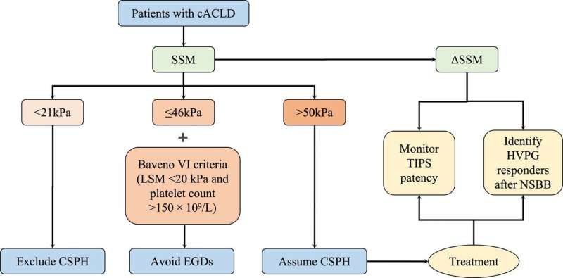 New test shows promise for diagnosing and managing portal hypertension