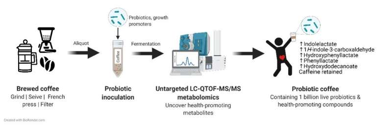 Enhancing health benefits of coffee with probiotics 
