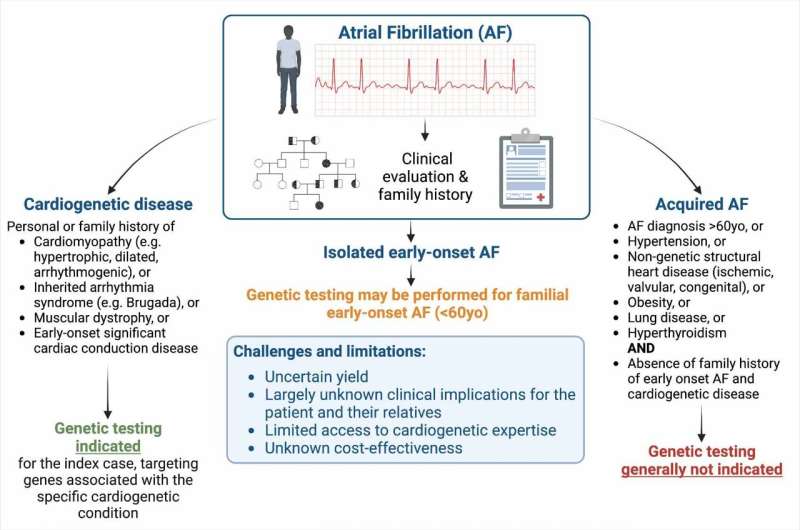 Genetic testing of patients with atrial fibrillation can alert clinicians to potential life-threatening conditions