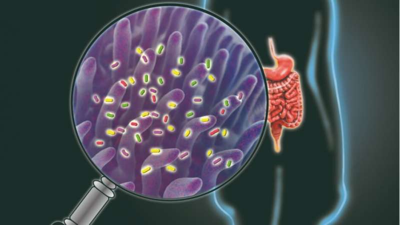 Probiotics or prebiotics? Exploring the complex world of 'gut' health 