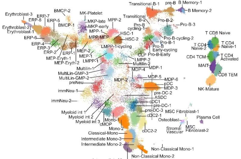 Most detailed atlas to date of human blood stem cells could guide future leukemia care