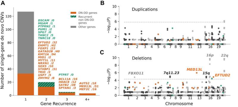 Single genomic test promises accelerated diagnoses for rare genetic diseases