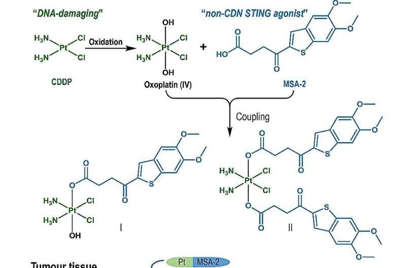 Metalloimmunotherapy: Combination of cisplatin and STING agonist into one molecule boosts cancer immune response