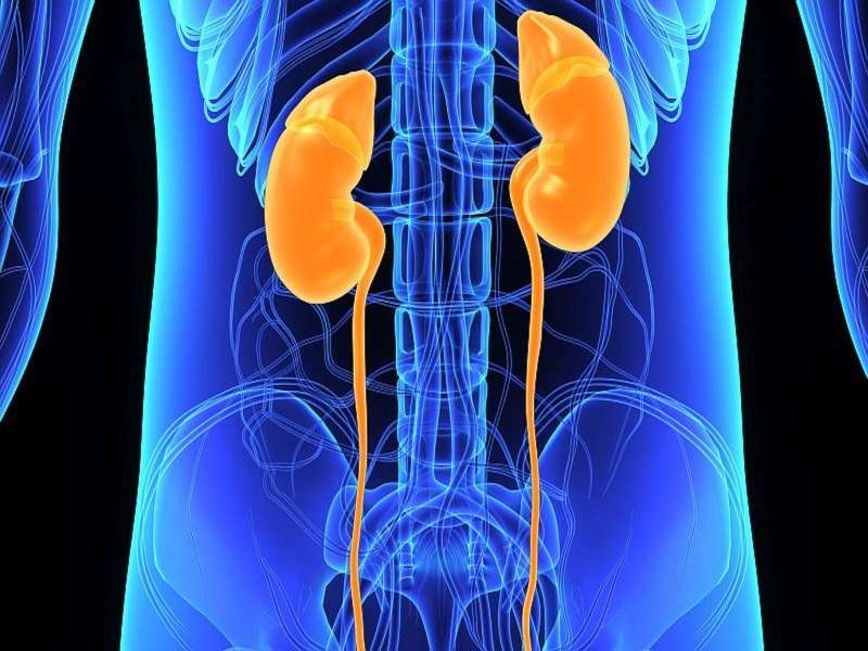 Atezolizumab &amp;amp;#43; bevacizumab shows benefit in met renal CA