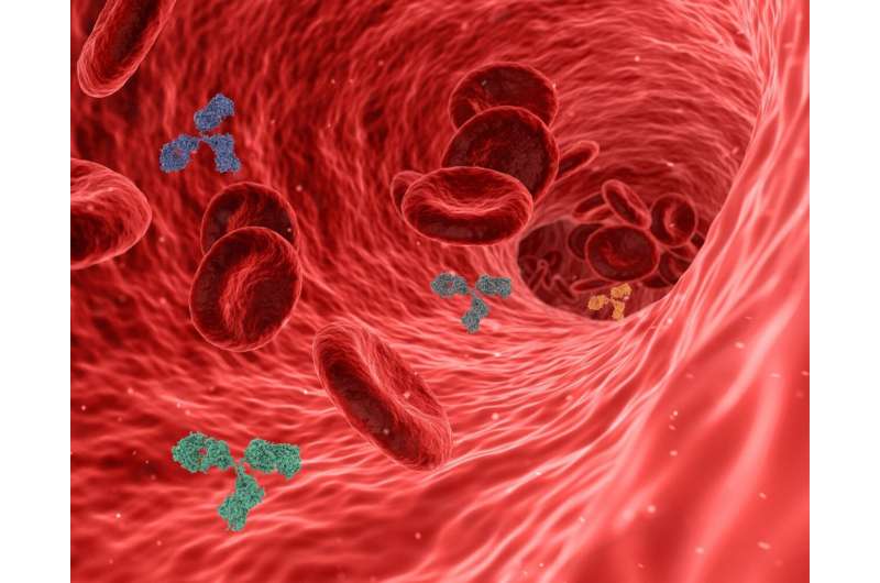 Researchers report clear shift in arterial diseases in diabetes