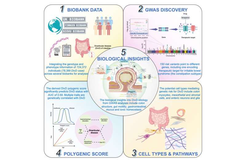 Genetics shed light on causes of intestinal disease 